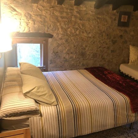 Mas Molladar Solo Adultos Konuk evi Camprodon Dış mekan fotoğraf
