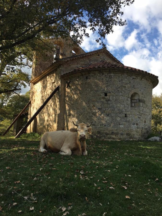 Mas Molladar Solo Adultos Konuk evi Camprodon Dış mekan fotoğraf