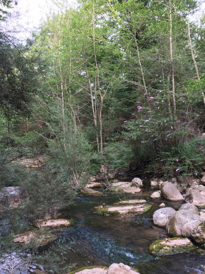 Mas Molladar Solo Adultos Konuk evi Camprodon Dış mekan fotoğraf